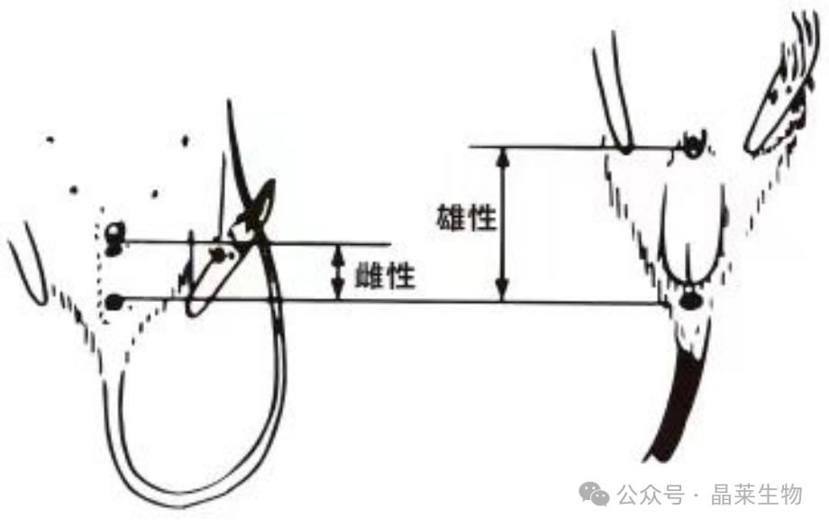 1738746360192159.png 640_wx_fmt=png&from=appmsg.png