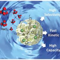 阳离子聚合物基纳米颗粒包封siRNA