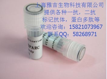 抗体的保存方法