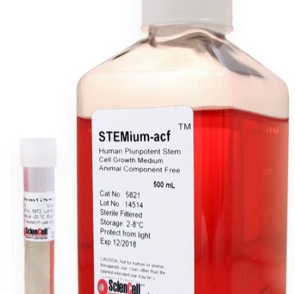 人类多能干细胞培养基-无动物组分