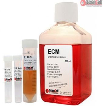 ECM 内皮细胞培养基