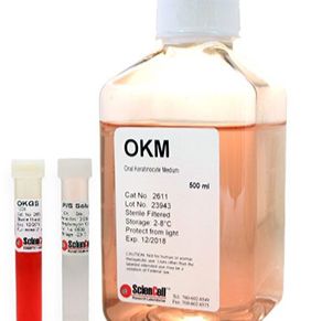 口腔角质细胞培养基