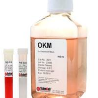 口腔角质细胞培养基