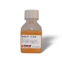 小鼠胚胎成纤维细胞培养基