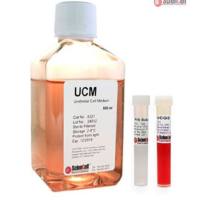 尿道上皮细胞培养基