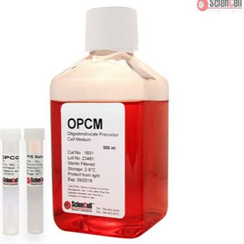 少突胶质前体细胞无血清培养基