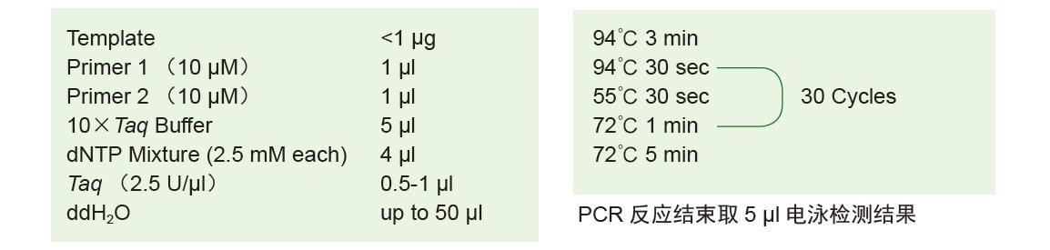 2×Taq PCR MasterMix(KT201 )