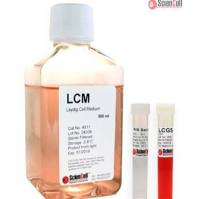 睾丸间质细胞培养基