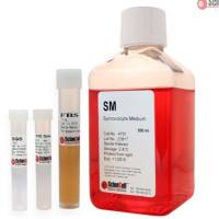 滑膜细胞培养基