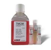 小梁网细胞培养基