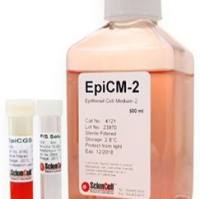 上皮细胞培养基-2