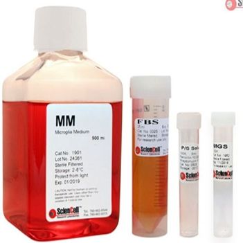 小胶质细胞培养基