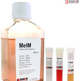 黑色素细胞培养基