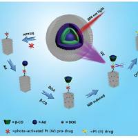负载Bi2S3的Fe3O4纳米粒子被PDA（聚多巴胺）和BSA（牛血清白蛋白）修饰