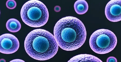 细胞株培养过程细节问题预防处理