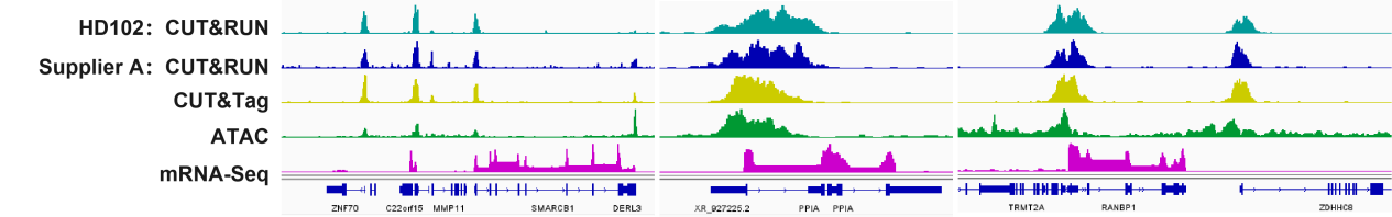 产品细节图片13