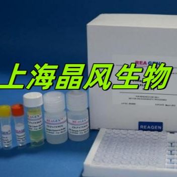 Dichelobacter nodosus节瘤拟杆菌染料法荧光定量PCR试剂盒