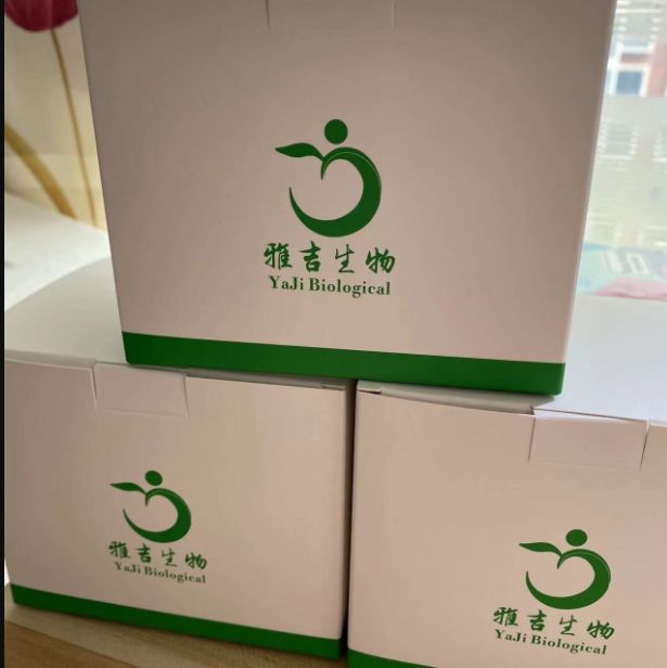 人磷脂酰肌醇蛋白聚糖3探针法荧光定量RT-PCR试剂盒