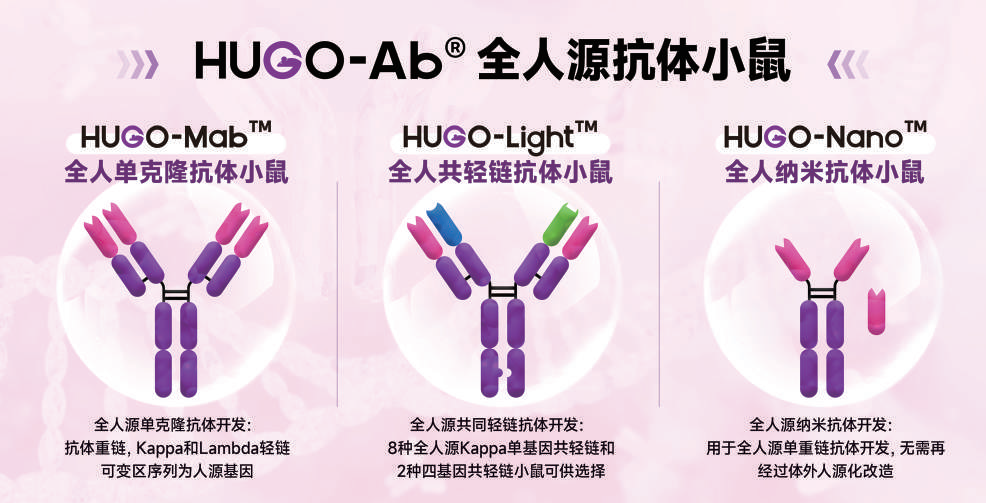 HUGO-Ab全系列人源抗体鼠产品