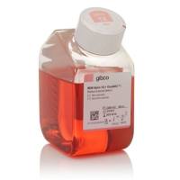 Gibco™ MEMα，GlutaMAX™ 添加剂，不含核苷