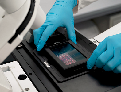 高内涵筛选:由成像到制药的华丽一跃