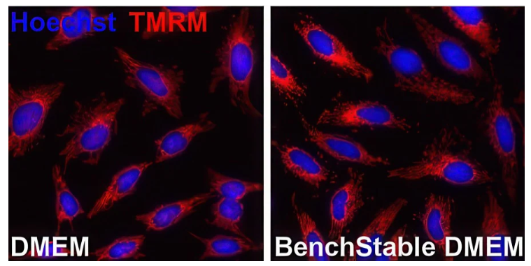 GIBCO BenchStable MEM 培养基 室温储存