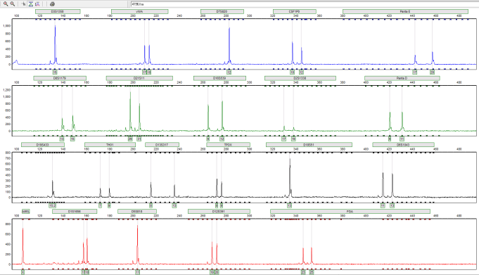 iPSC体外技术服务平台