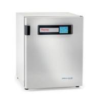 Thermo Scientific™ Heracell™ VIOS 250i CO2 培养箱,255 L,铜制