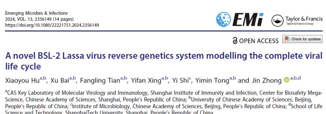超速离心：高效构建拉沙病毒反向遗传学系统