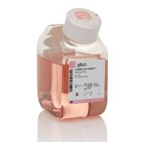 Gibco™ Opti-MEM™ I 减血清培养基、GlutaMAX™ 添加剂