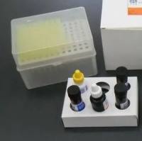 Acidovorax avenae ssp. citrulli瓜类细菌性果斑病菌探针法荧光定量PCR试剂盒