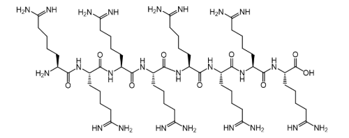R8-PEG-DMG PEG-R8  RRRRRRRR-PE