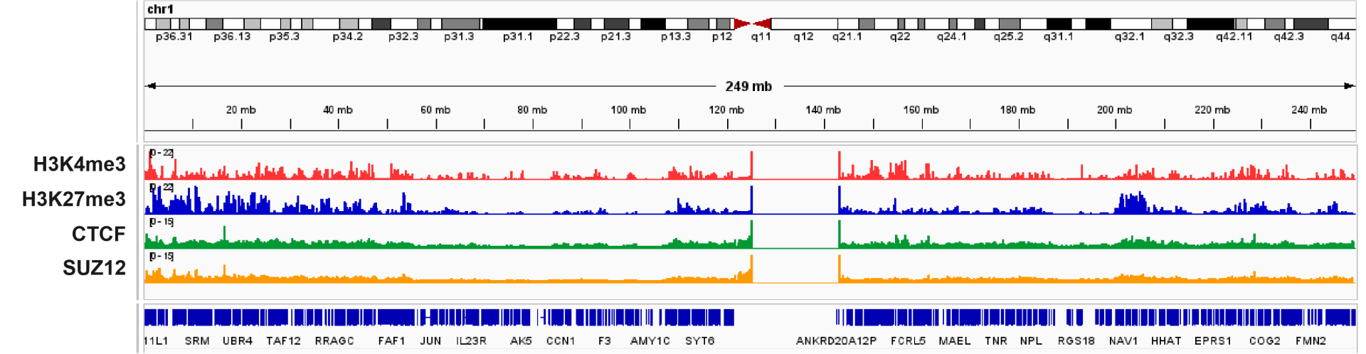 产品细节图片11