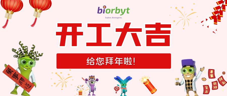 Biorbyt 元气满满启新篇！开工大吉！
