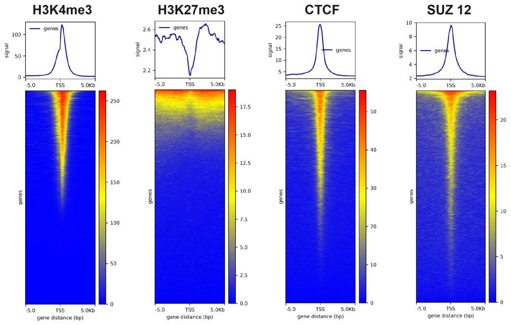 产品细节图片10