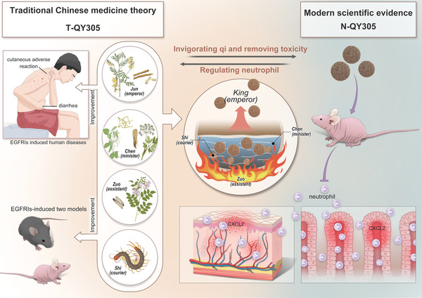 中药研究如何在纳米技术中焕发新生，新的一年向“中药纳米微球”进发！