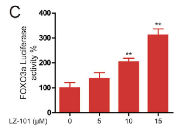 报告基因慢病毒-萤火虫荧光素酶 (Luciferase)/海