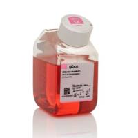 Gibco™ MEM，GlutaMAX™ 添加剂