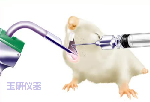 可调角度大小鼠手术台,多角度手术板