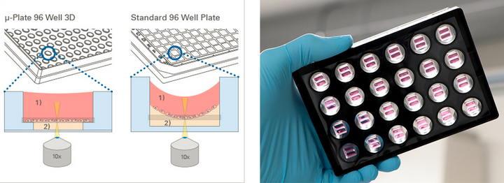 高内涵筛选:由成像到制药的华丽一跃