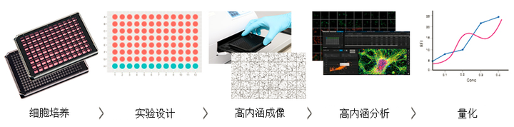 高内涵筛选:由成像到制药的华丽一跃