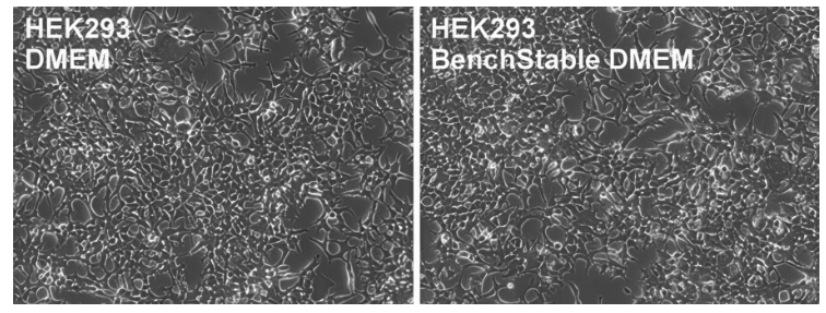 GIBCO BenchStable MEM 培养基 室温储存