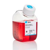 Gibco™ DMEM,高糖,GlutaMAX™ 添加剂