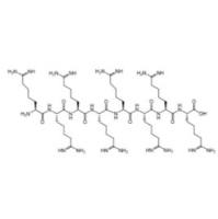 R8-PEG-DMG PEG-R8  RRRRRRRR-PEG-DMG  细胞穿膜肽R8-聚乙二醇-二肉豆蔻酰甘油 