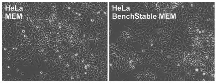 GIBCO BenchStable MEM 培养基 室温储存