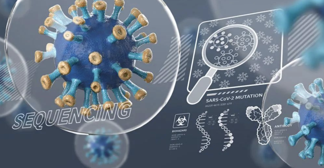 核心变革，重塑未来｜病毒载体如何引领基因治疗新突破？