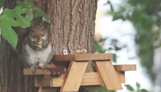 高内涵筛选：由成像到制药的华丽一跃