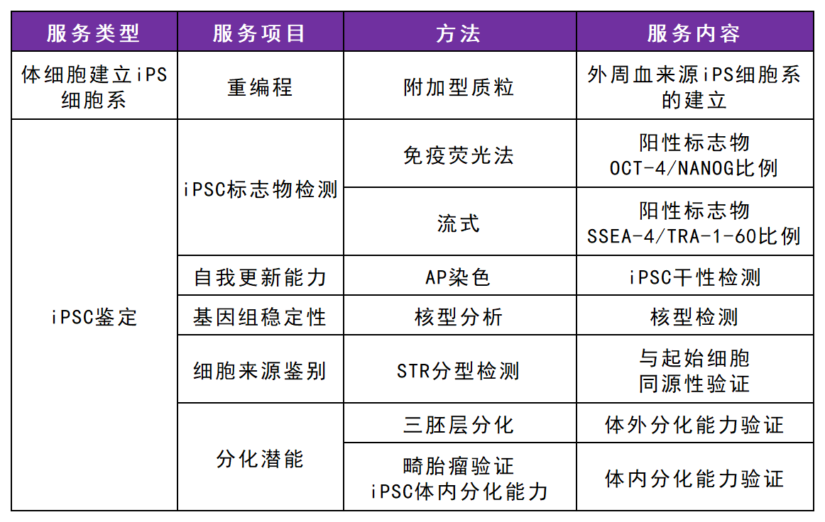 iPSC体外技术服务平台