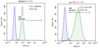 iPSC体外技术服务平台