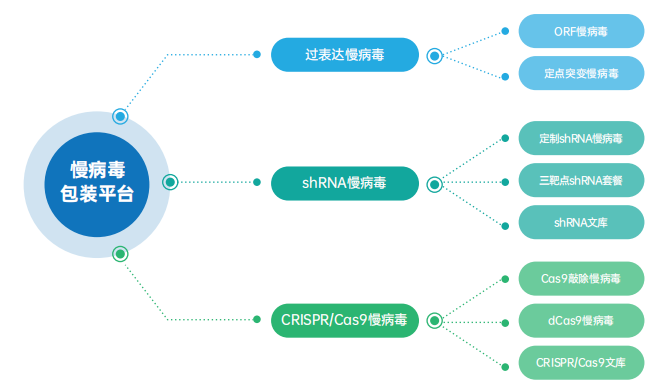 产品细节图片1